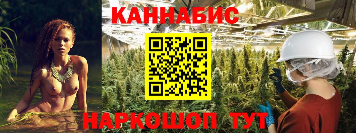 Каннабис LSD WEED  Каннабис конопля  Конопля сатива  Грозный  Вход с VPN  Бошки марихуана планчик 